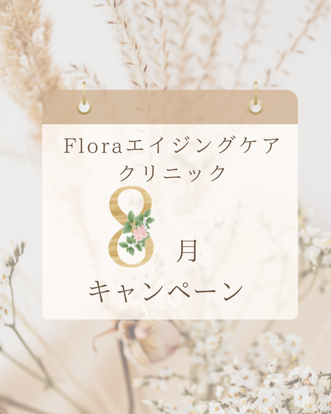 8月キャンペーン